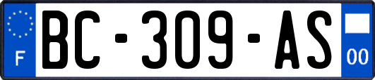 BC-309-AS