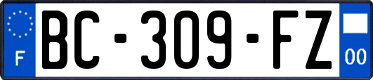 BC-309-FZ