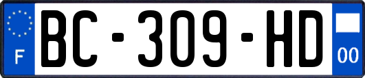 BC-309-HD