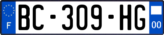 BC-309-HG