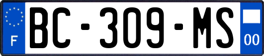 BC-309-MS