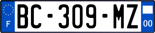 BC-309-MZ