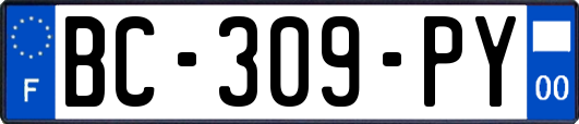 BC-309-PY