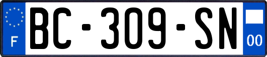 BC-309-SN