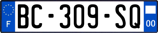 BC-309-SQ