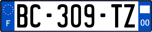 BC-309-TZ