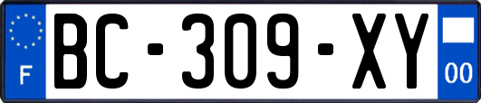 BC-309-XY