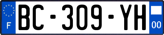 BC-309-YH