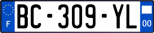 BC-309-YL