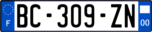 BC-309-ZN