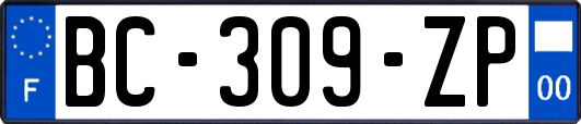 BC-309-ZP