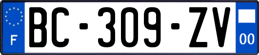 BC-309-ZV