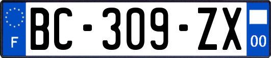 BC-309-ZX