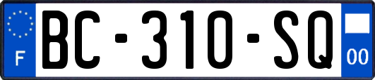 BC-310-SQ