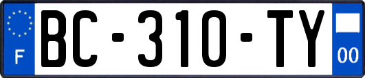 BC-310-TY