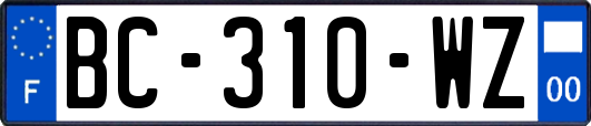 BC-310-WZ