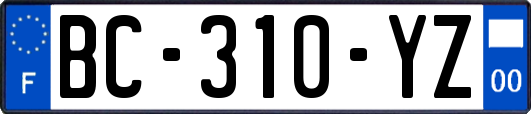 BC-310-YZ