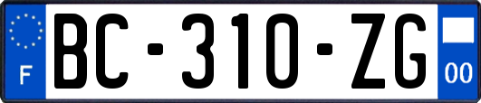 BC-310-ZG