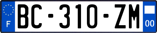 BC-310-ZM