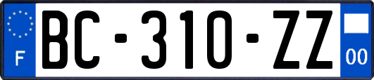 BC-310-ZZ