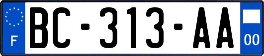 BC-313-AA