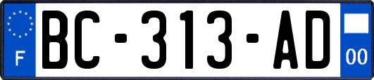 BC-313-AD