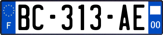 BC-313-AE