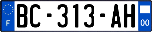 BC-313-AH