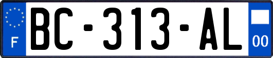 BC-313-AL