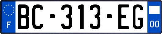 BC-313-EG