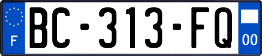 BC-313-FQ