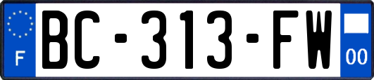 BC-313-FW
