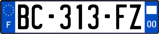 BC-313-FZ