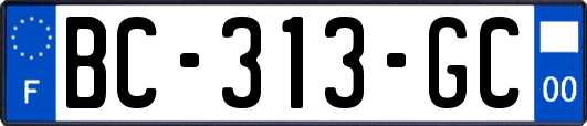 BC-313-GC