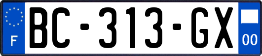 BC-313-GX