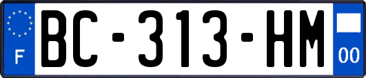 BC-313-HM