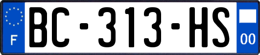 BC-313-HS