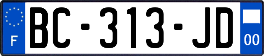 BC-313-JD