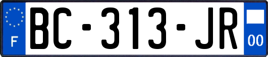 BC-313-JR