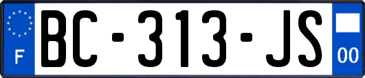 BC-313-JS