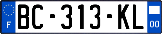 BC-313-KL