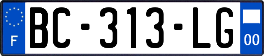BC-313-LG