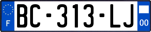 BC-313-LJ