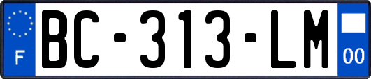 BC-313-LM