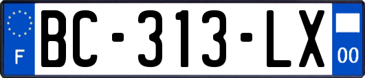 BC-313-LX