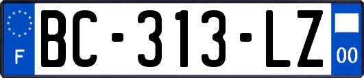 BC-313-LZ