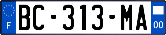 BC-313-MA