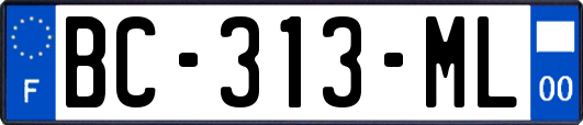BC-313-ML