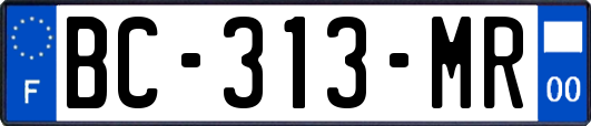 BC-313-MR