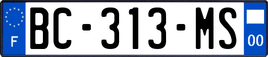 BC-313-MS